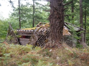 Ruins of a cabin on Mayne Island BC