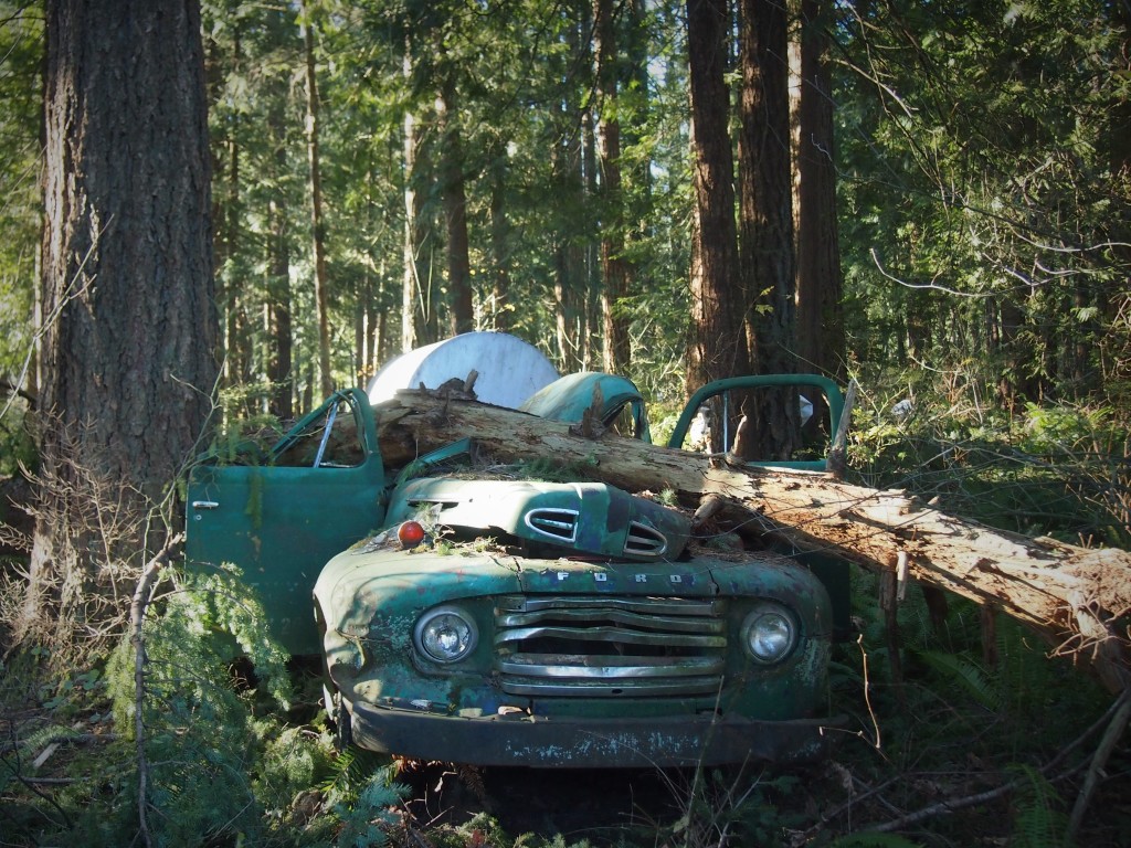 Old truck ruins after a wind storm