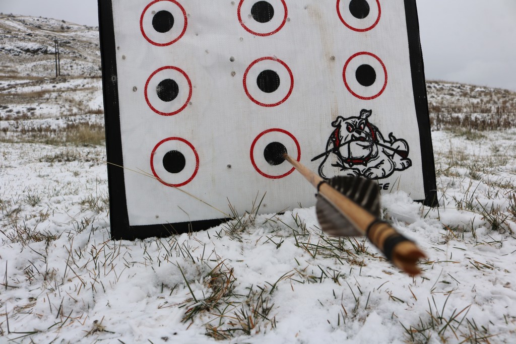 Archery target practice