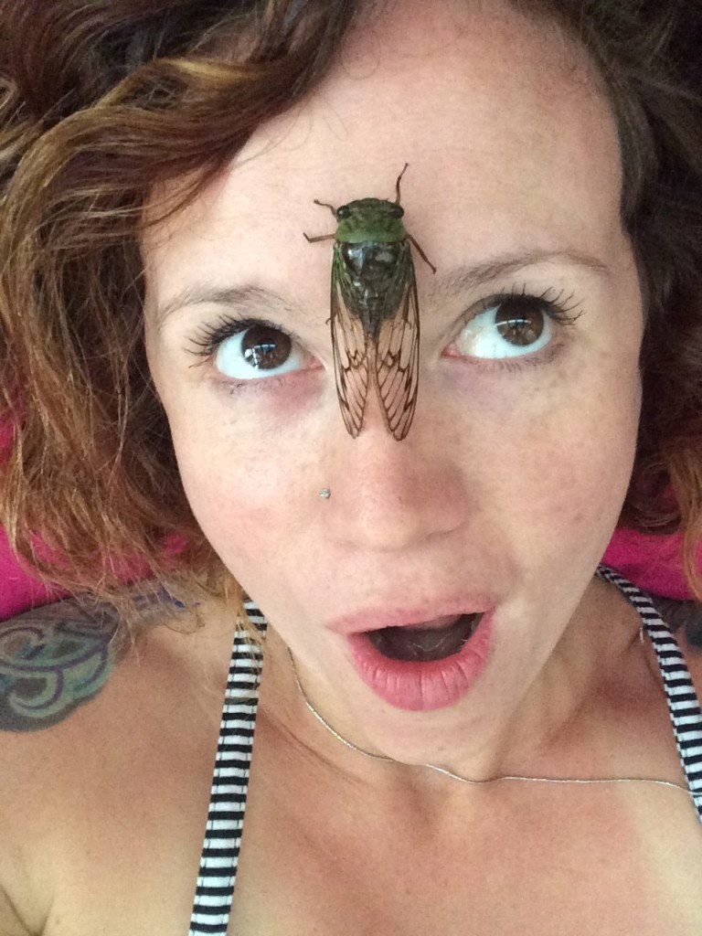 Playing with a cicada in Guadeloupe