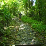 Hiking La Soufriere in Guadeoupe