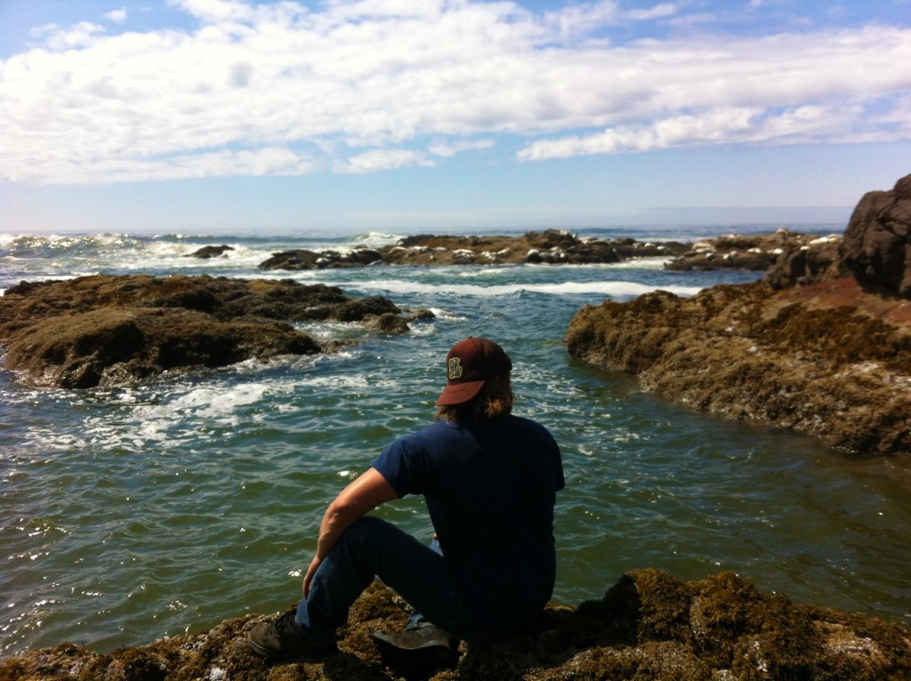 Seal watching on the Oregon Coast