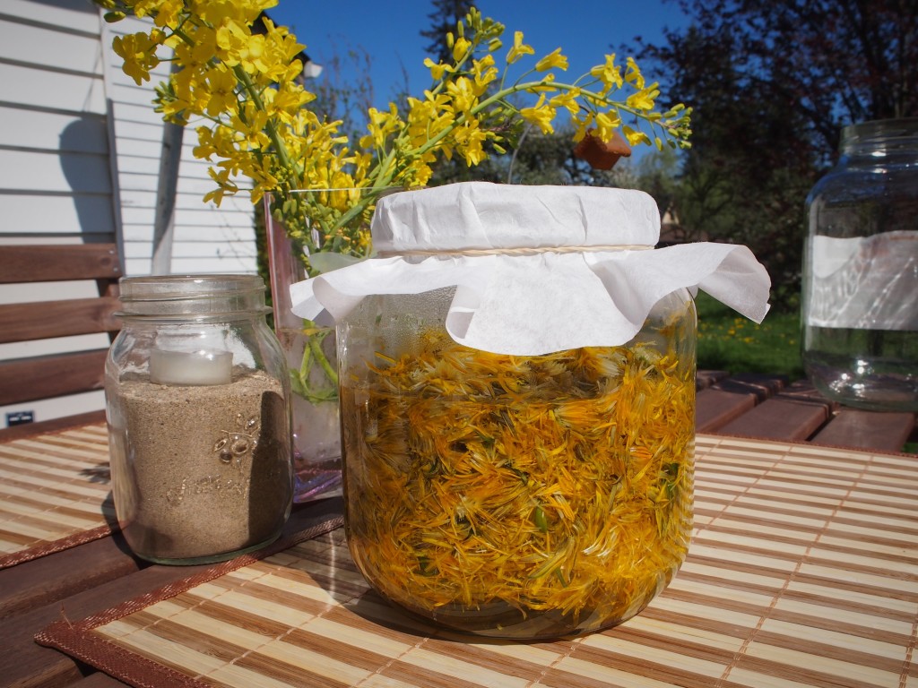 Steeping the dandelion petals to make jelly