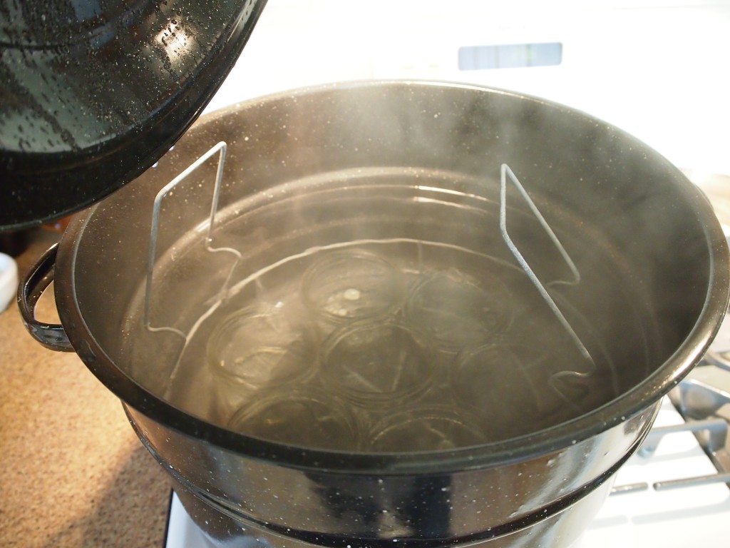 Sterilizing jars to make dandelion jelly 