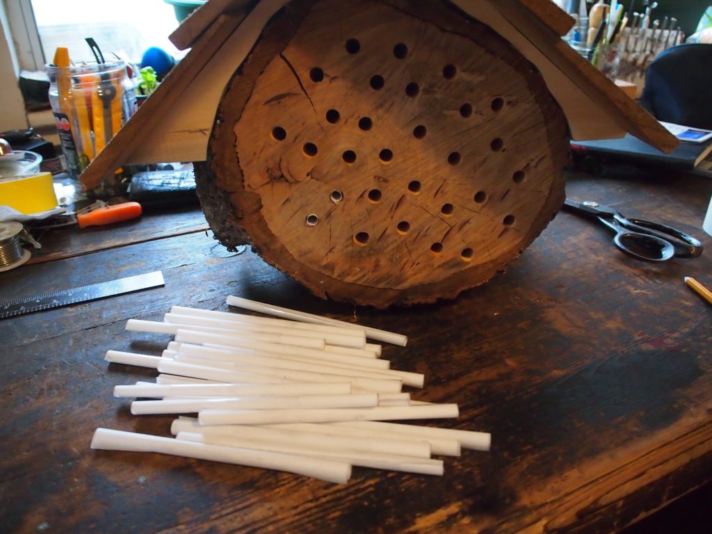 Putting the tubes in the mason bee house