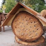 Homemade mason bee log house