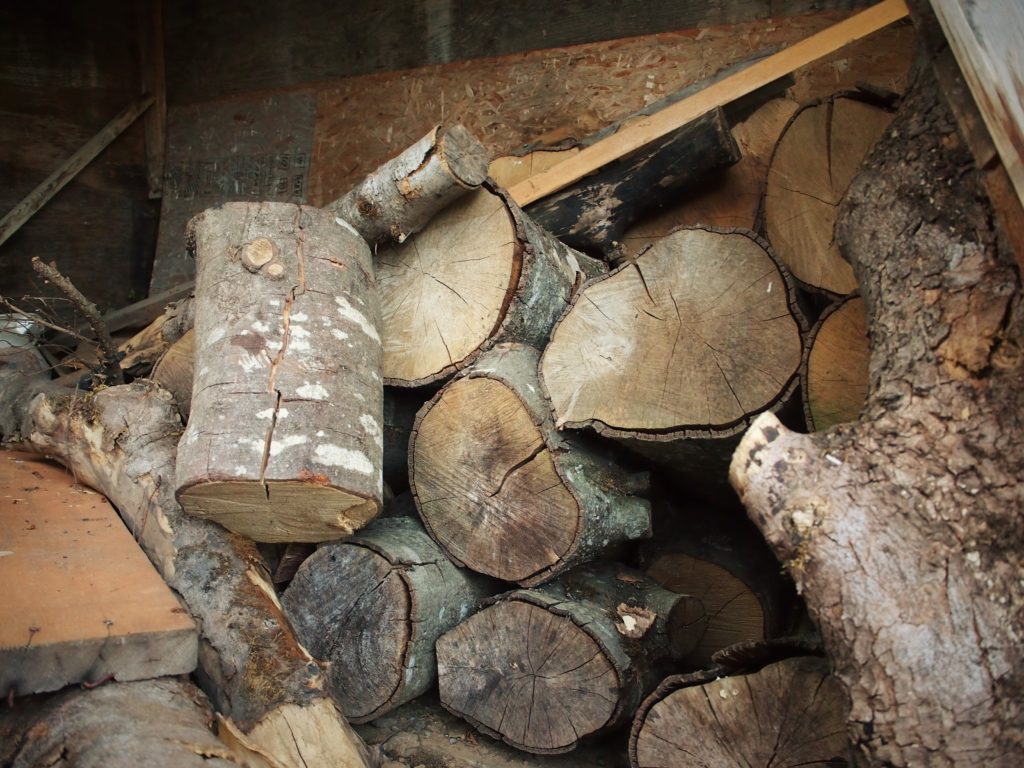 Pile of logs to choose one for the mason bee house