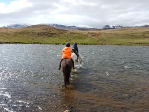 Riding horses in Skagafjordur Iceland