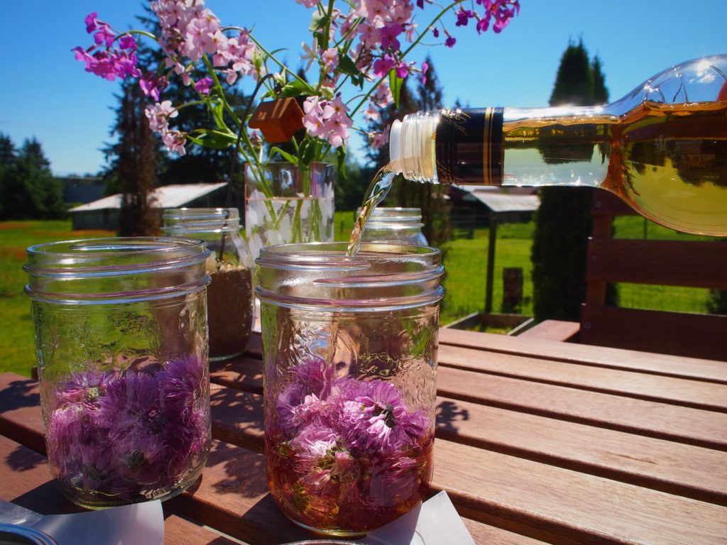 Pouring white wine vinegar over the chive blossoms in mason jars