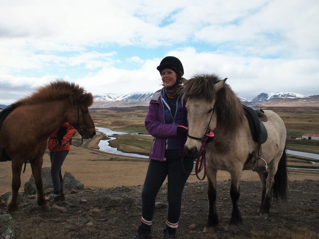 Riding horses in Skagafjordur Iceland
