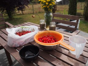 Pitting cherries to make cherry rhubarb jam