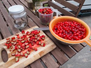 All the chopped fruit to make cherry rhubarb jam