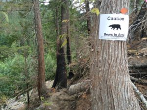 Bear warnings at the trail head to Keyhole hot springs