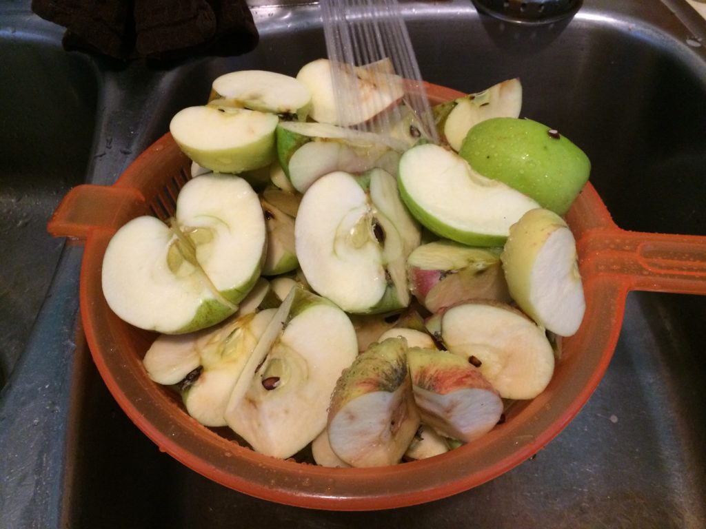 Washing the apples for sugar free applesauce