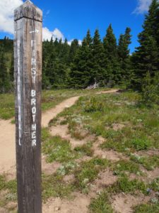 Junction for the first brother peak on the Heather Trail