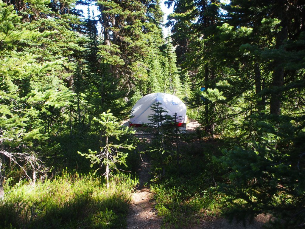 campsite for our overnight hike on the heather trail
