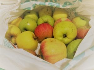 Apples to make raw apple cider vinegar