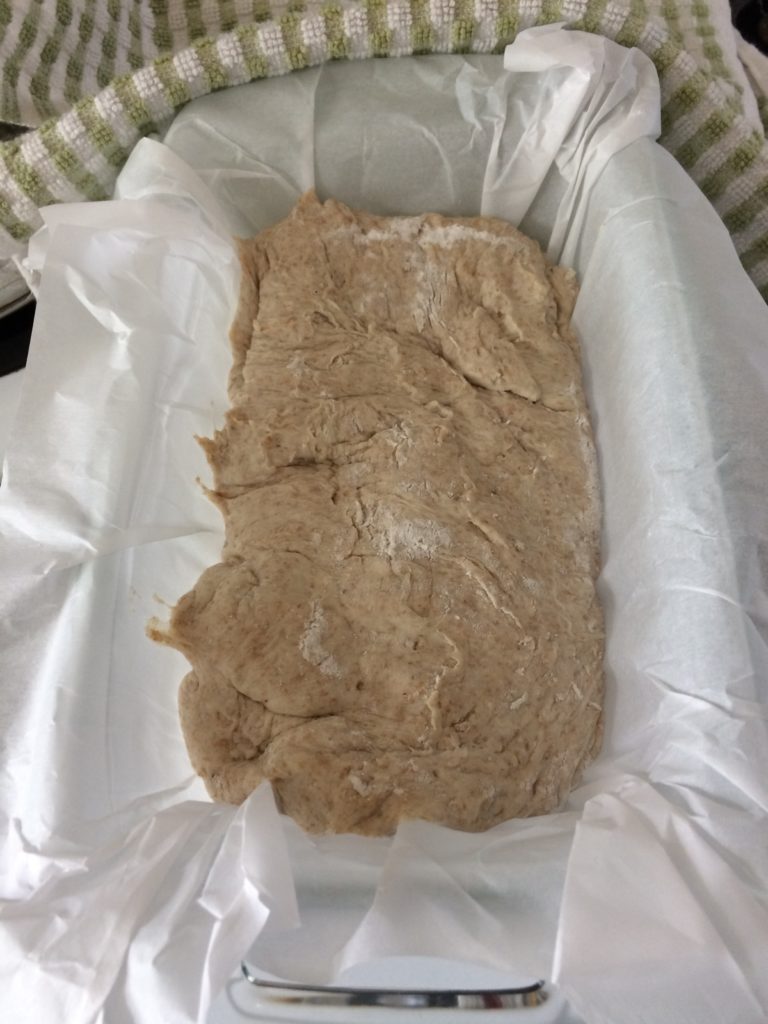 Making homemade no knead sourdough bread