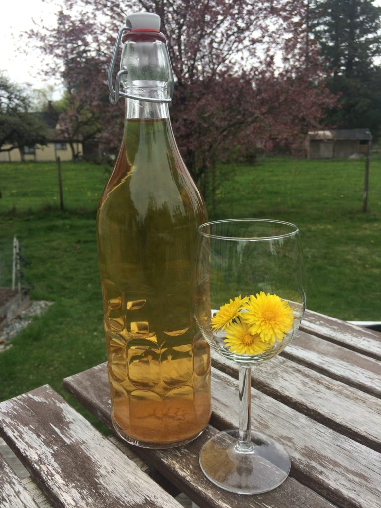Homemade dandelion wine