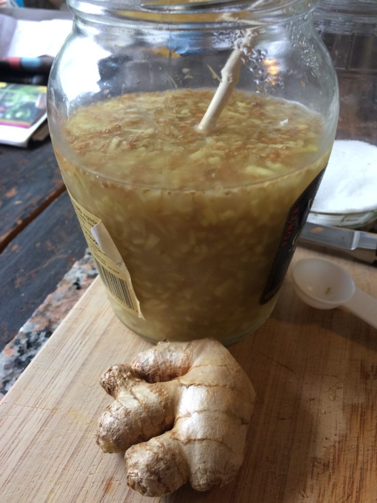 Making a ginger bug for traditional soda making