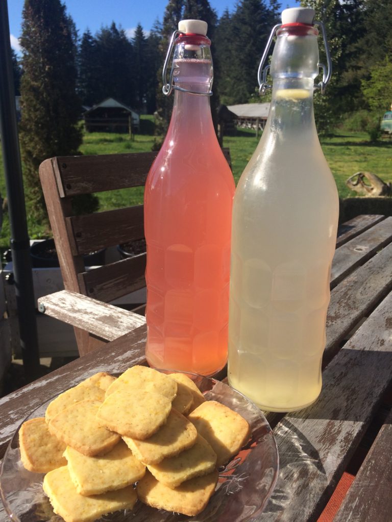 Traditional sodas made from a ginger bug