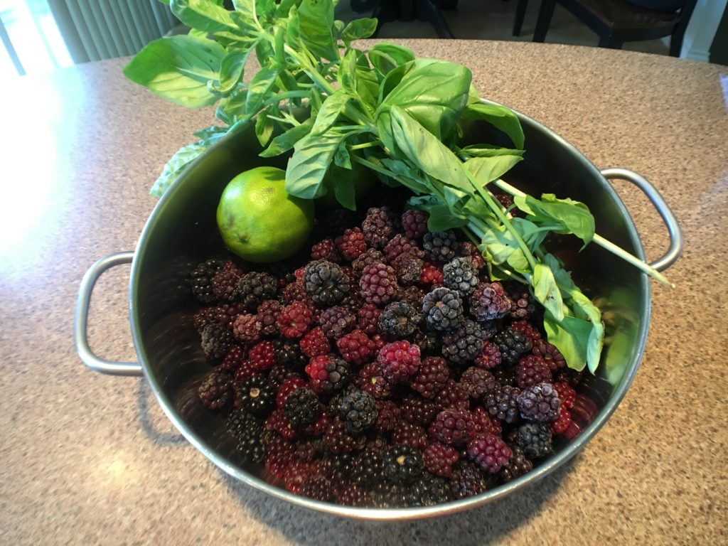 Making homemade blackberry basil jam